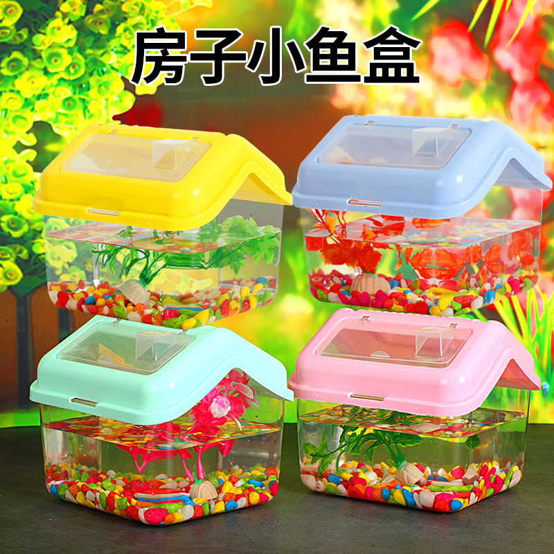 手提小鱼盒透明盒宠物饲养盒乌龟缸乌龟盒塑料金鱼缸封闭式宠物盒