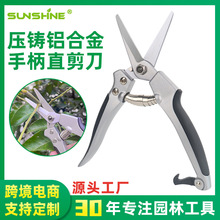 剪枝果树修枝剪刀园艺园林修花枝剪家用盆栽花艺火龙果剪葡萄剪刀
