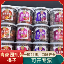 青豪园瓶装玫瑰梅半梅杨梅老婆梅话梅蓝莓情人梅果脯罐装蜜饯批发