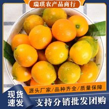 �V����Ƥ���5�����rˮ���ڰ�����������]�������һ�����l