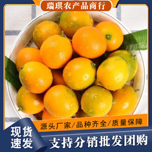 �V����Ƥ���5�����rˮ���ڰ�����������]�������һ�����l