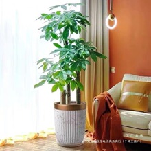 �����߰lؔ���҃ȾGֲ���Һ��B�����՚����״��͏d����Gֲ�k����