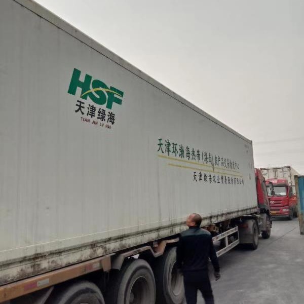 青岛  上海 天津堆场 处理冷藏集装箱船用储存货柜自备箱转运箱式