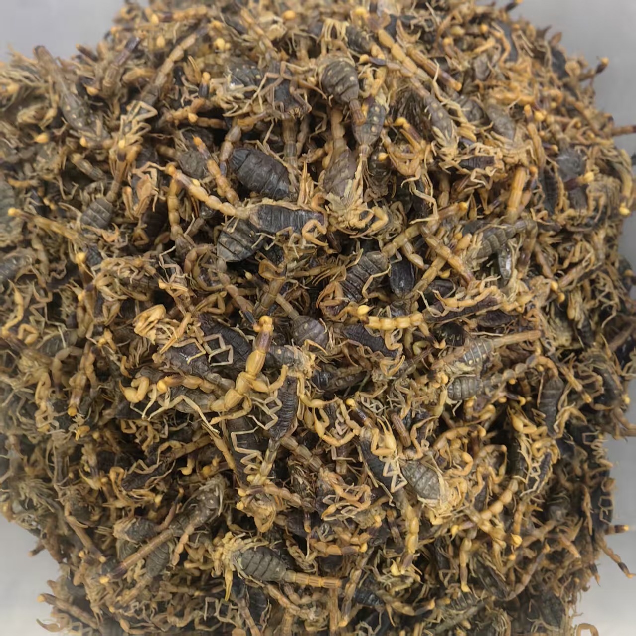 Dried Whole Scorpion Quan Xie 清水全蝎 Buthus martensii Whole Body Traditional TCM Herb 100g quality and texture