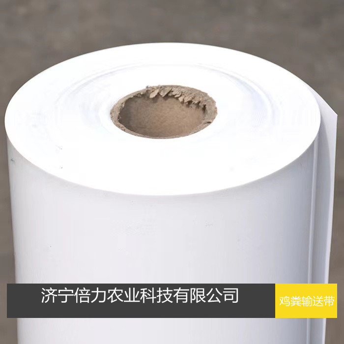 肉鸡清粪带PP清粪带鸡粪输送带养鸡场传送带质量保证耐腐蚀抗高温