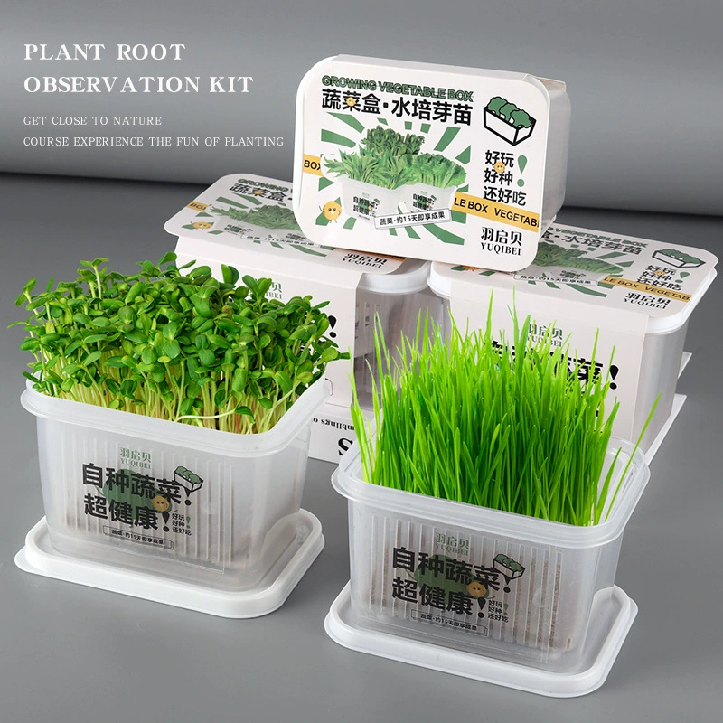 Детская творческая посадка растений Гидропонная тарелка для рассады ростков в горшках Смотровая коробка Костюм для роста овощей Водные фермы Учащиеся начальной школы