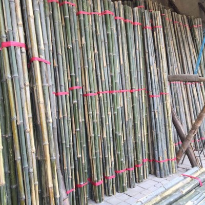 Place of Origin Supply 4 Agriculture Scaffolding plant Bamboo Bamboo tail