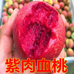 桃树苗嫁接果树苗水密桃血桃盆栽地栽南方北方种植桃树苗包邮