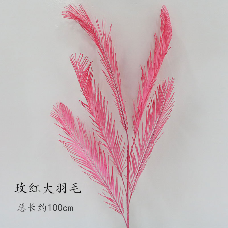 Rosa roja pluma de cinco cabezas