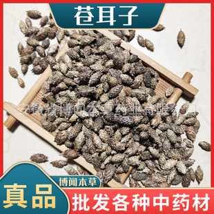 ���l�n���� ��؛��؛�a����ș��ȥ���n�� ţʭ�Ӵ��^â ����r��