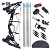Spot wholesale and predator Raptors composite pulley bow and arrow outdoor archery set can be empty reinforced steel beads dual -use bow
