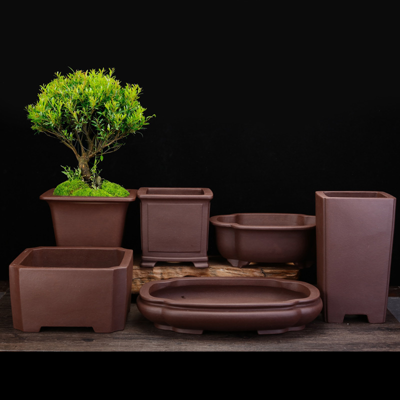 Purple Sand Flower Pot Square Living Room Bonsai Pot Square Sign Tube Personalized Ceramic Old Pile Fleshy Banyan Tree Potted Chinese Style