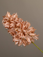 ��ɫϵ��c������ɫ��ɫ��Y��ܛ�b���ý������⻨�Ĳ廨�~��