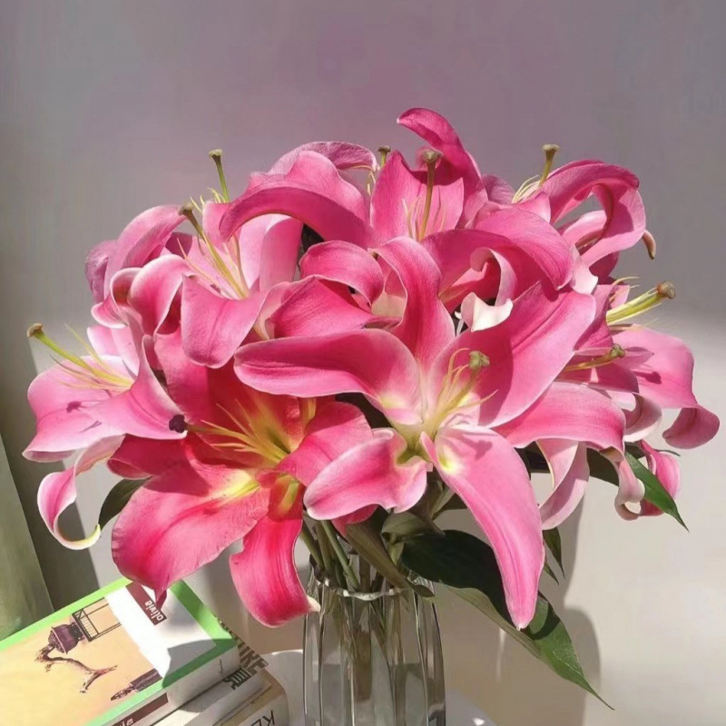 玫瑰花鲜花云南昆明基地批直发百合向日葵红豆家用鲜切水养插|undefined