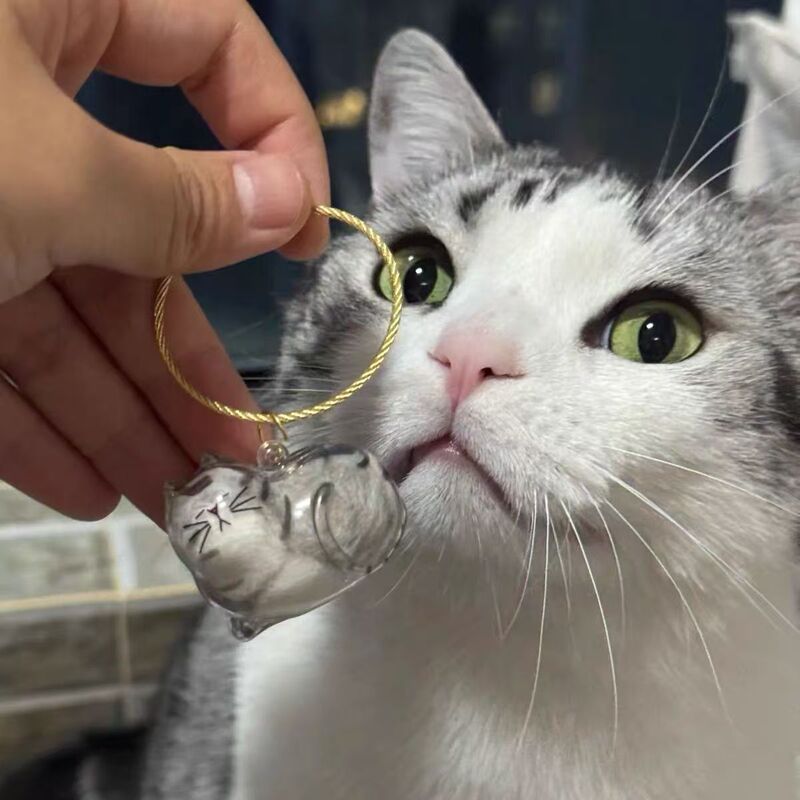 透明猫毛收纳盒吊饰扭蛋猫咪毛发存放胶囊扭蛋包挂钥匙扣挂件收藏|undefined