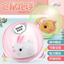 �L��ë�q���Ӄ�ͯ����Ȍ��������նY��늄ӷ���С�}��؈������