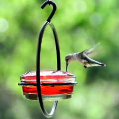 クロスボーダー新品humming bird feederメタルシンプルハチドリ給餌器吊り下げ式給餌器