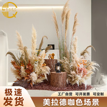 �JȔ�ɻ���Ȕ������滨�쾰��ֲ���҃ȾW�t���b�ꙻ���b��^�[