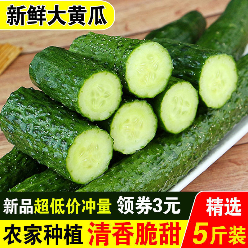 河北省農家の野菜グリーンハートとげのある果物キュウリ新鮮な生のキュウリはシャキシャキしていて美味しいとげのあるキュウリ卸売送料無料|undefined