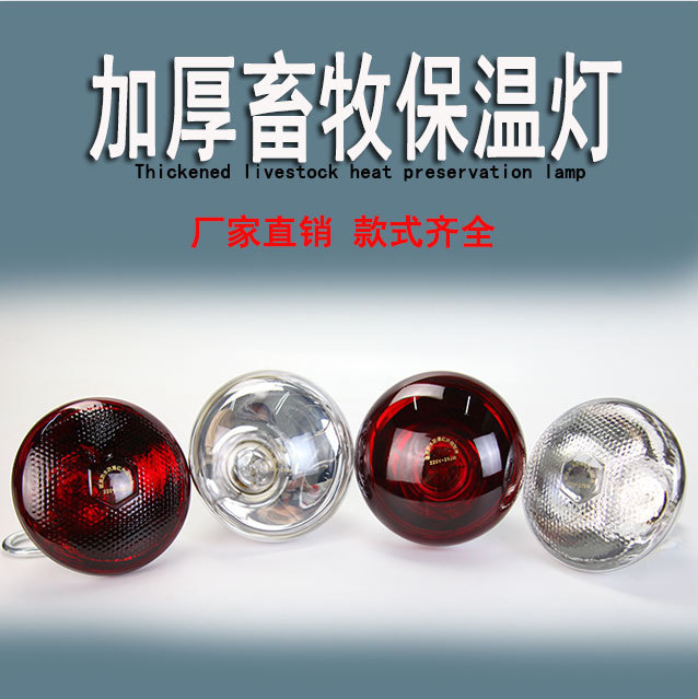 Veterinary Heating Lamp for Livestock, Warming Lamp for Pigs, Cattle, and Sheep, Cold-Resistant Insulation Bulb, Warming Lamp for Broiler Chicks, Heating Lamp
