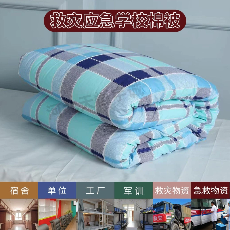 Школьное общежитие односпальная кровать двухъярусное Хлопковое одеяло Синьцзян весна и осень нежное приятное для кожи одеяло из хлопка Синьцзян