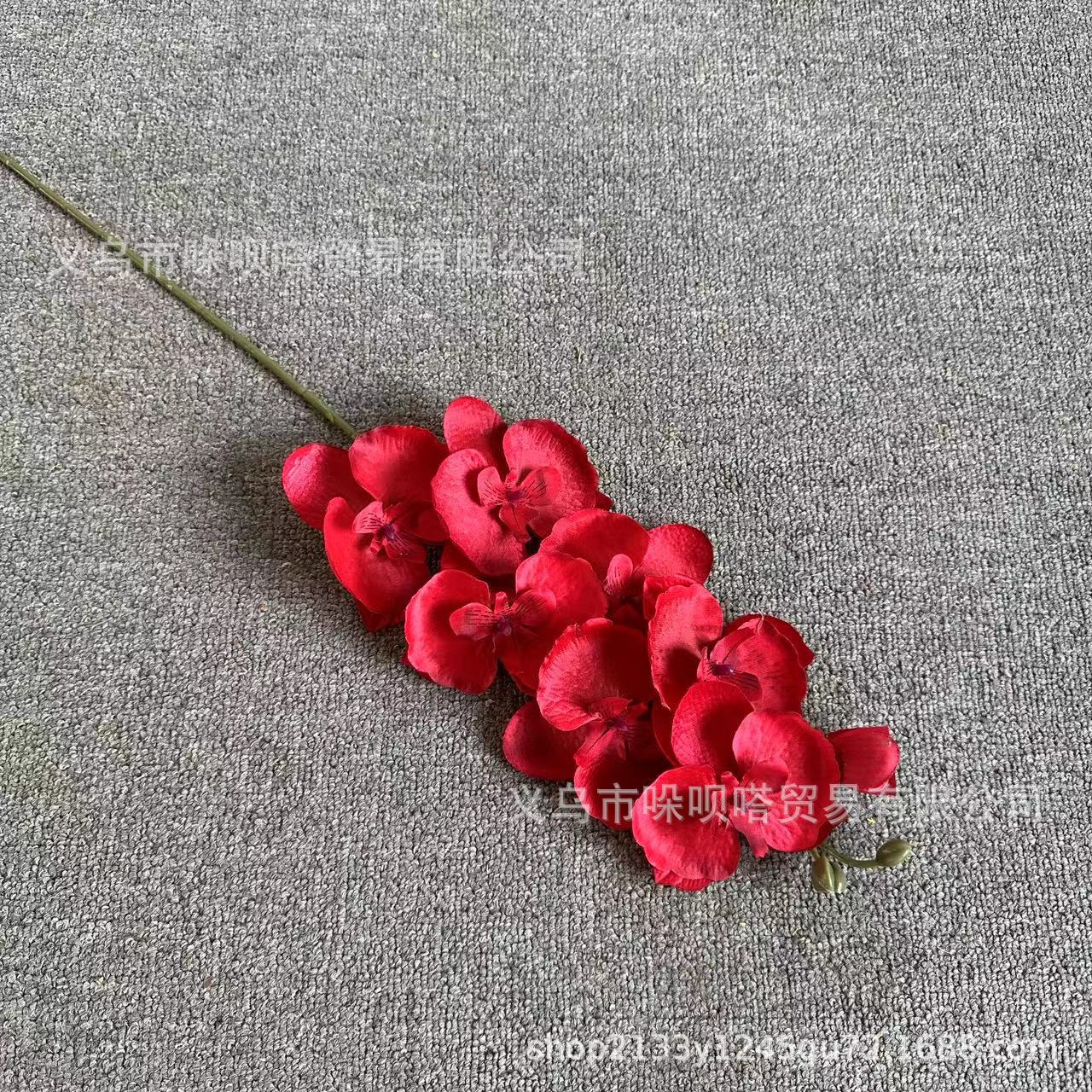 8 실크 호접란-다크 레드