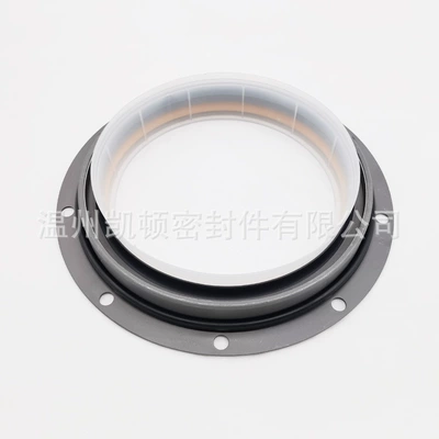 PTFE oil seal, Oil seal
