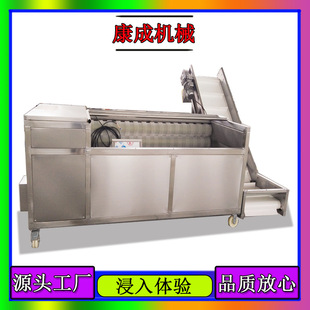�S�ҟ��N1500�Ͱ���ëˢ��ϴ�O�������t���߉�������ϴ�C���l�r��