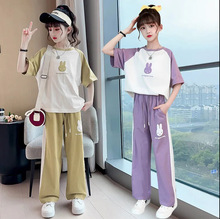 女童网红短袖套装2024夏季新款儿童时髦洋气女孩韩版阔腿裤两件套
