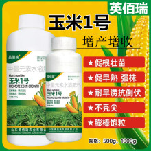 玉米1号叶面肥 增产增收籽粒饱满生根壮苗剂抗倒伏氨基酸水溶肥料