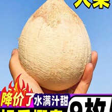 ��������Ҭ�����r9���������ˮ��ȥƤҬ�ӵ�Ҭ��Ҭ����Ҭ