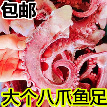 海鲜水产八爪鱼足大章鱼足鱿鱼须鱿鱼头海捕八爪鱼烧烤自助餐食材
