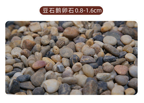 e91f6a67-eb8d-4632-991a-a6cfff490bc6.jpe