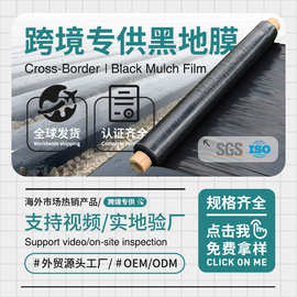 厂家农用黑地膜 加厚黑色农用地膜 黑色除草地膜的草莓专用黑地膜