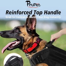 宠物衣服现货狗狗背心配牵引绳防冲大中型犬户外战术训练跨境批发