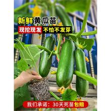 ˮ���S�������ļ��N���̨�����＾�߲������������Ϸ�С��Ϻ���