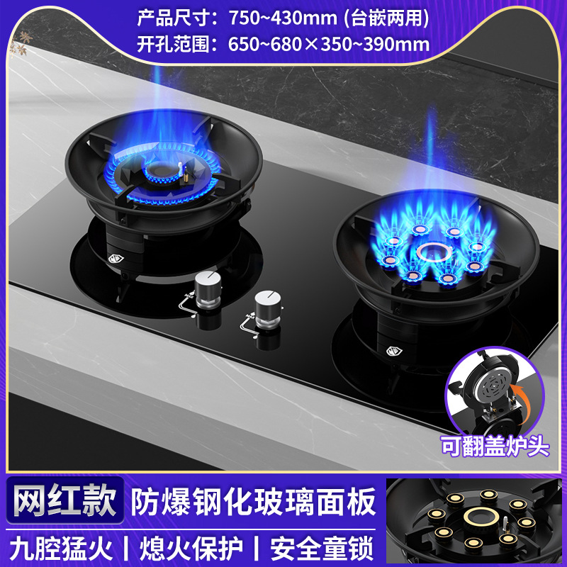 Rong Shida al por mayor doble estufas de gas estufas domésticas de gas natural gas licuado red rojo mágico estufas