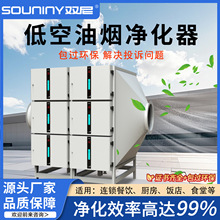 双尼油烟净化器餐饮静电式油烟净化机组商用厨房低空油烟净化设备