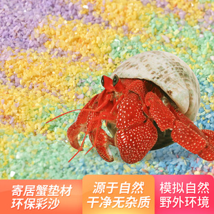 Jinyuming Hermit Crab Special Mat Colorful Sand Decorative Sand Kidsren's Toy Sand Pure Natural Sand Fine Sand