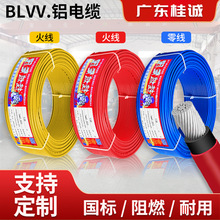 \X|BLVV10-400ƽXоpܑϻ늾|