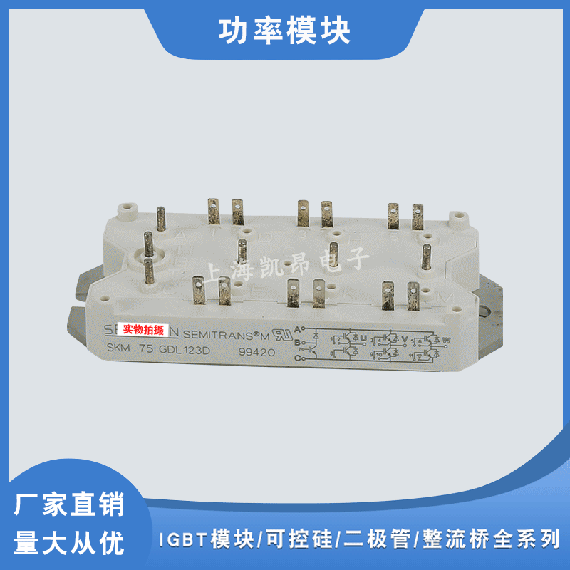 SKM75GDL123D SKM40GDL123D SKM75GD123DL全新原装功率IGBT模块