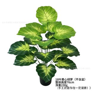 18�^�����~�S�ľG�}�~�����~��ˮ�^������Gֲ�辰����͏d�b���