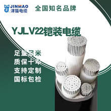天津小貓廠家3*25+1*16動力電線工程低壓電力電纜鋁芯YJLV多規格