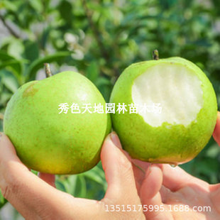 �G��ʯ�����ϱ���ͥԺ���������������̨���Լ޽��ش���Y��