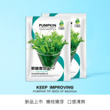 中科茂华 蔬菜种子 鲜嫩南瓜尖种子 食茎叶吃法 农家乐采摘园