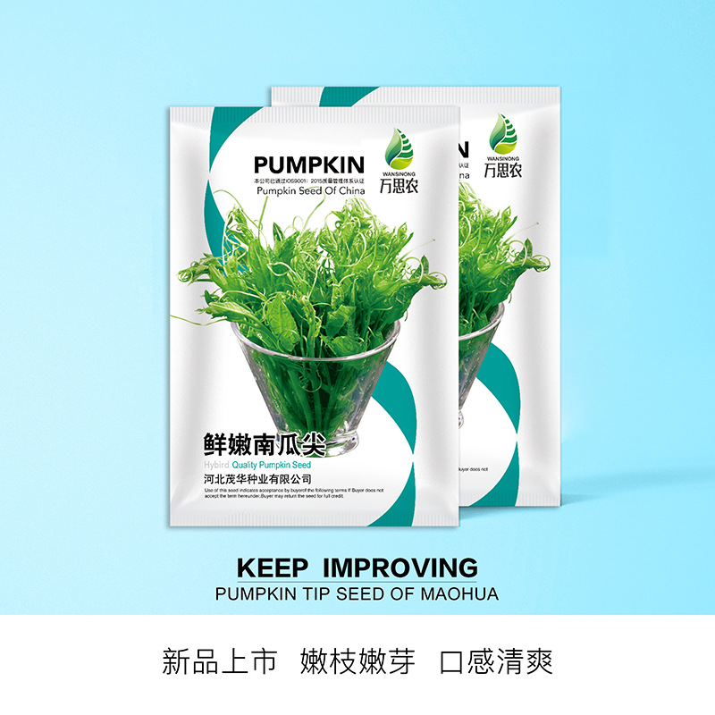 中科茂华 蔬菜种子 鲜嫩南瓜尖种子 食茎叶吃法 农家乐采摘园
