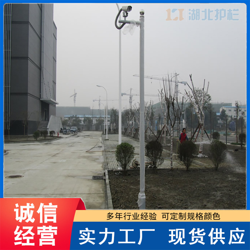 天門皂市電視墻路燈桿送貨到工地