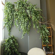 ���泣���ٱڒ��b�С���¼پGֲ�͏d���Ҳ͏d�������Շ��В��