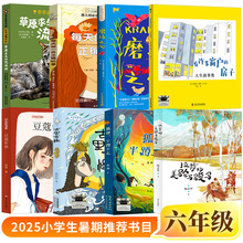 2025百班千人暑假六年级共读书目8册狐狸半蹲半走草原求生流浪猫