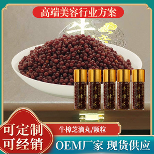 ԭ�ϏS�ҹ���̨����һ���g��ʿ��_ ţ��֥����